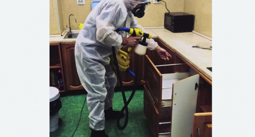 Уничтожение насекомых в квартире. Правдинск