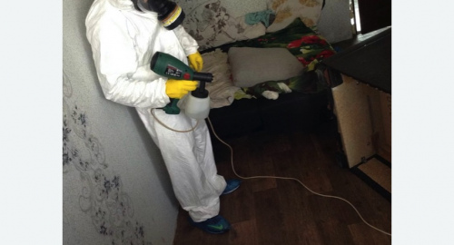 Обработка квартир от насекомых в Правдинске