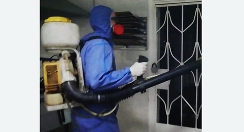 Дезинфекция от тараканов. Правдинск