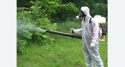 Дезинфекция территории от клещей. Правдинск