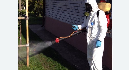 Уничтожение клещей на участке в Правдинске