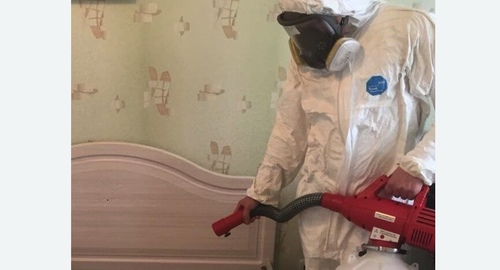 Уничтожение клещей в квартире. Правдинск
