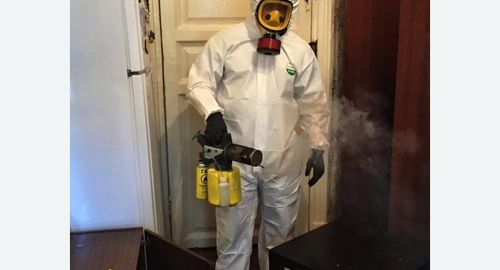 Дезинфекция от муравьев в квартире в Правдинске