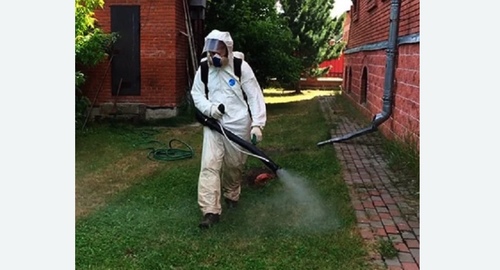 Обработка территории от клещей. Правдинск