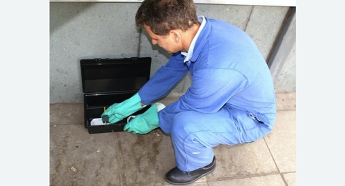 Уничтожение мышей. Правдинск