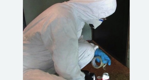 Обработка от мышей в Правдинске