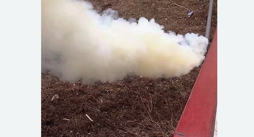 Уничтожение кротов на участке в Правдинске