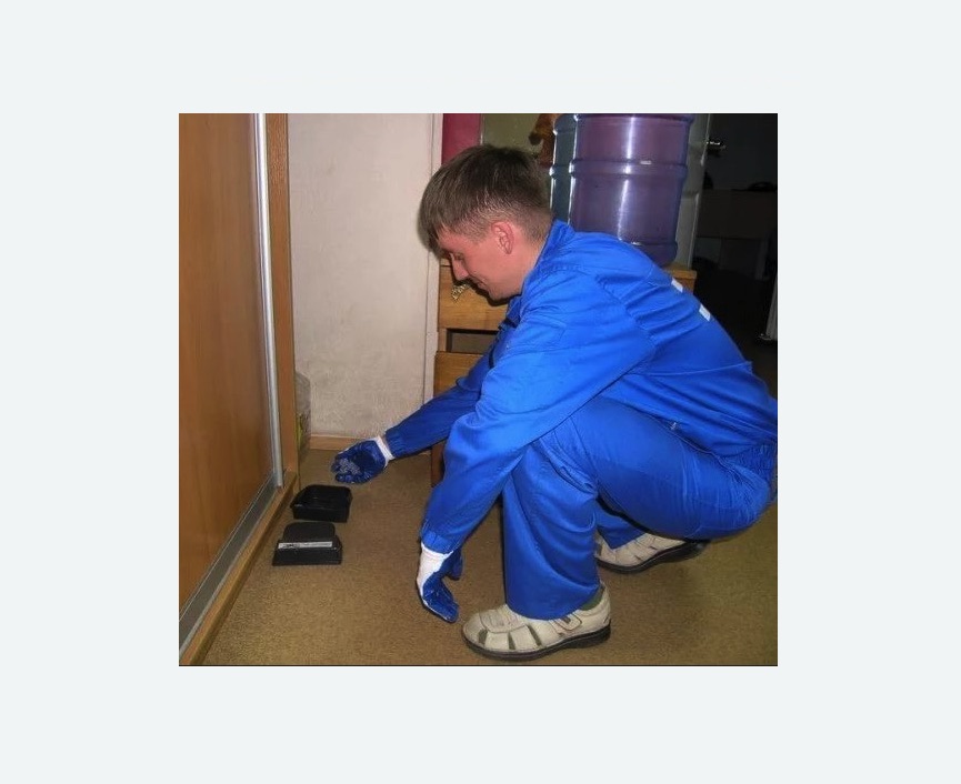 Дератизация крыс в Правдинске