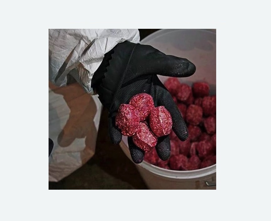 Обработка от крыс в Правдинске