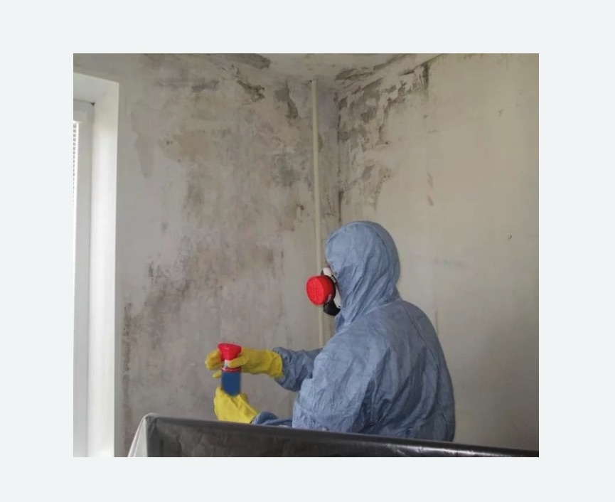 Удаление плесени в квартире в Правдинске