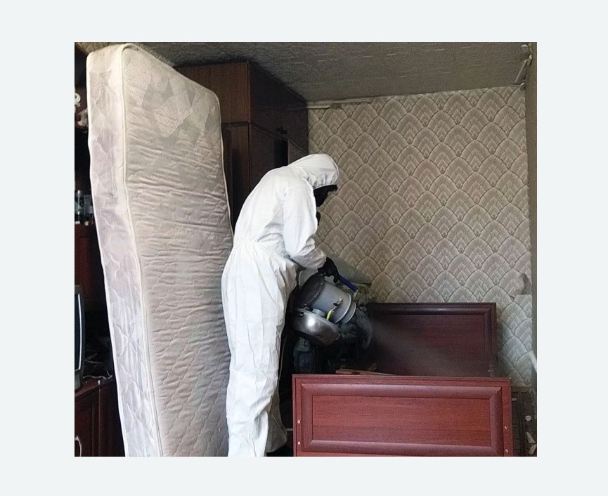 дезинфекция от клопов в Правдинске