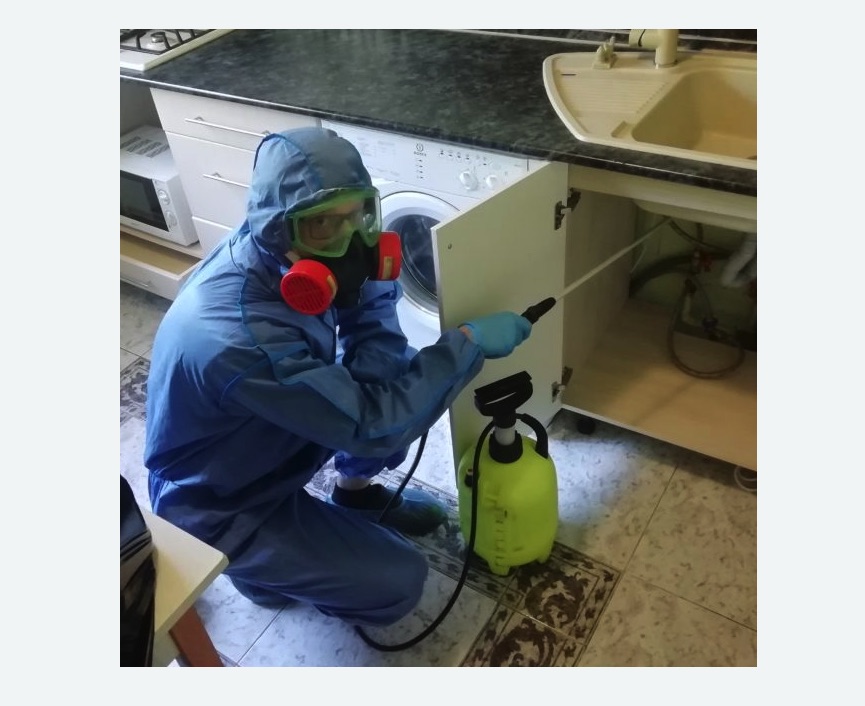 обработка от муравьев в квартире в Правдинске