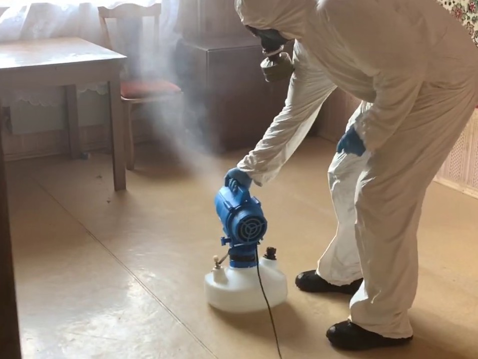 Уничтожение тараканов в квартире в Правдинске
