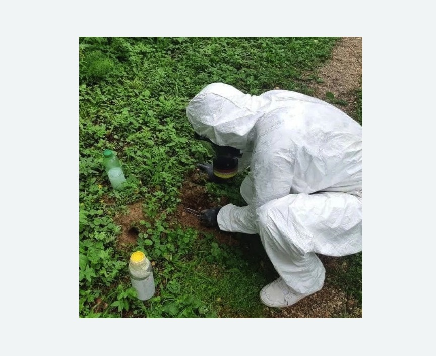 уничтожение кротов на участке в Правдинске