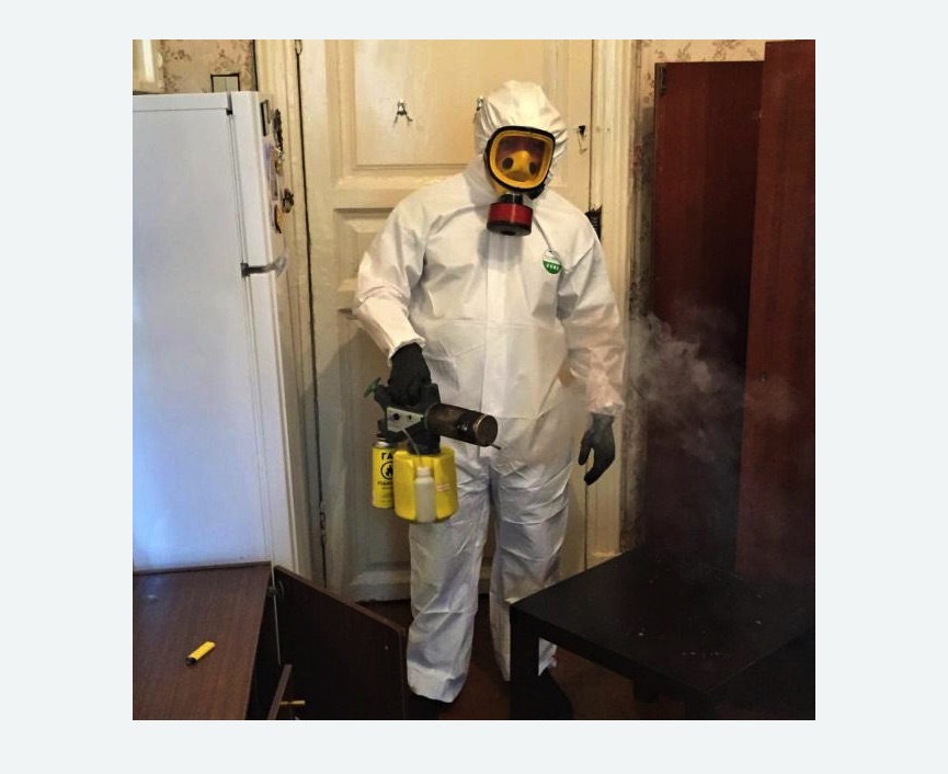 уничтожение муравьев в квартире в Правдинске